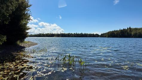 22 Rabbit Lane Whiting ME 04691