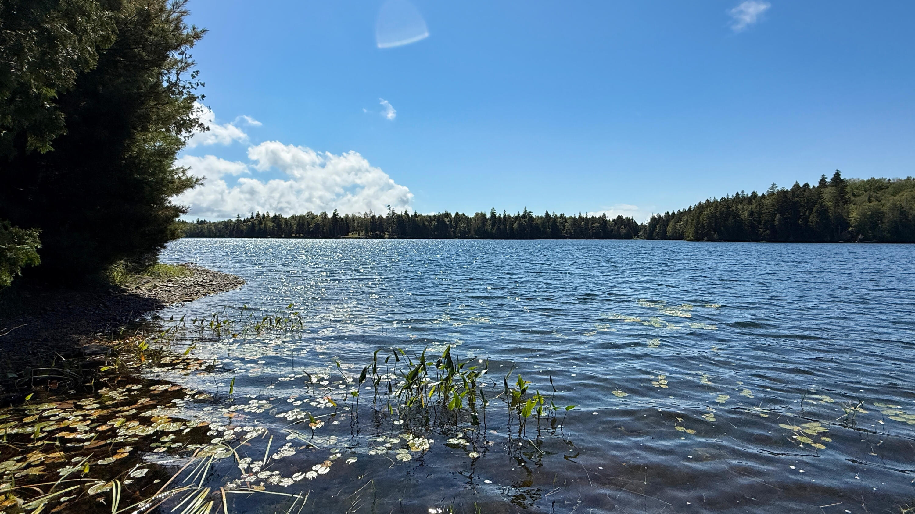 22 Rabbit Lane Whiting ME 04691