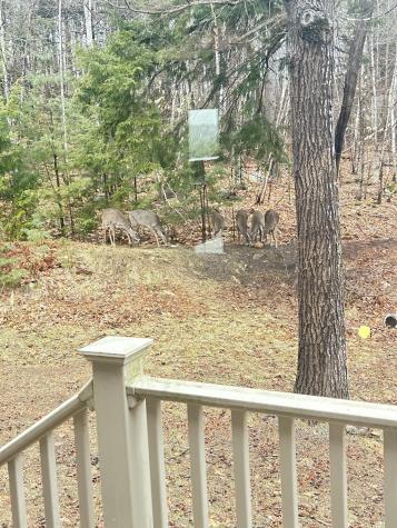 26 Island View Drive Greene ME 04236