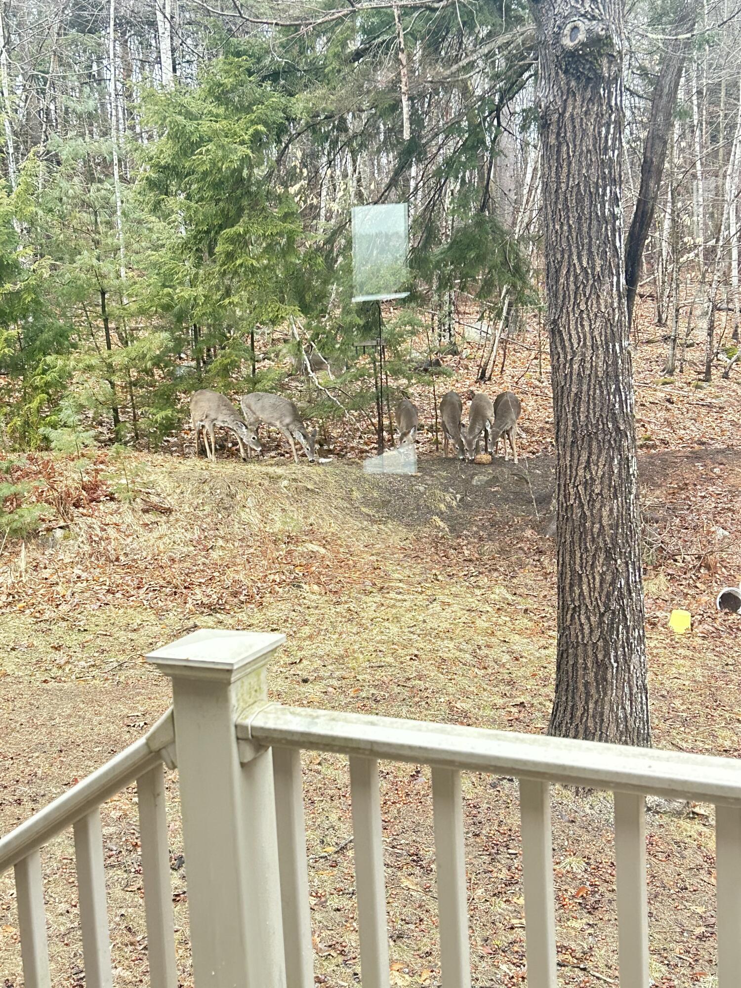 26 Island View Drive Greene ME 04236