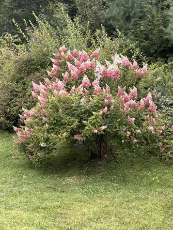 26 Island View Drive Greene ME 04236