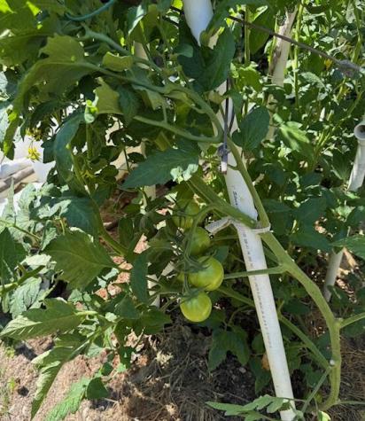 363 Swanville Road Frankfort ME 04438