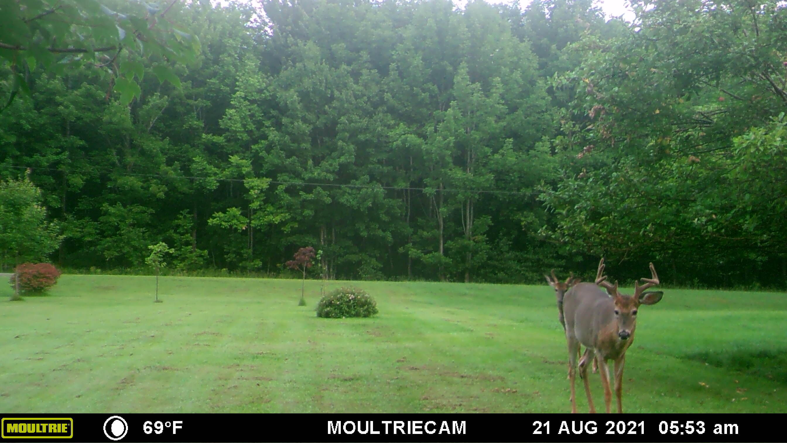 38 Morrow Hill Road Searsmont ME 04973