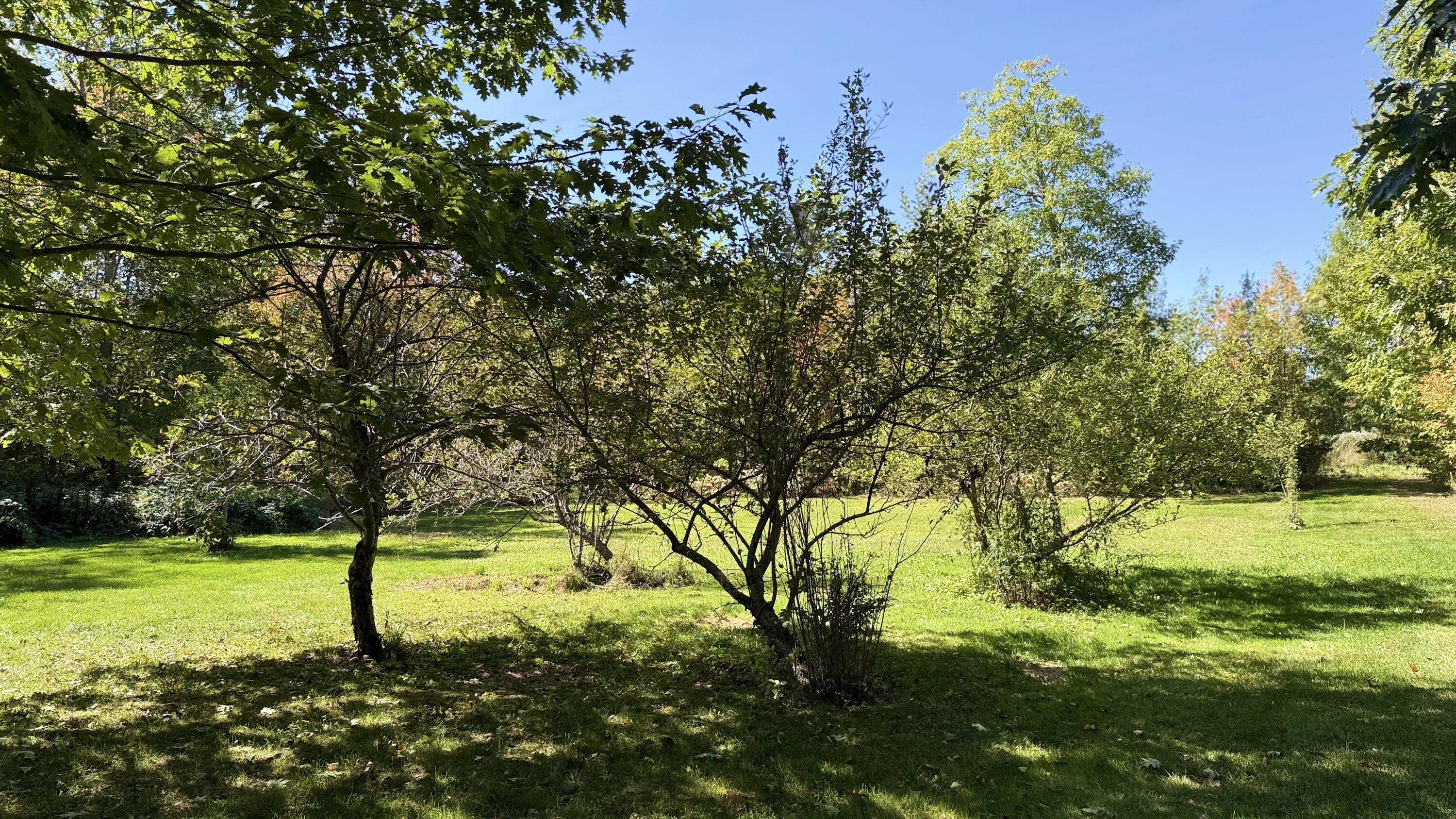 249 School Road Charleston ME 04422