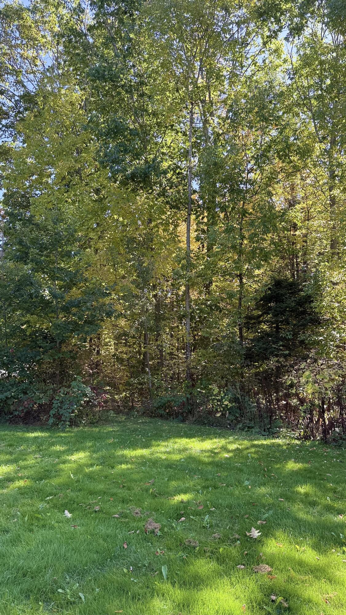 249 School Road Charleston ME 04422