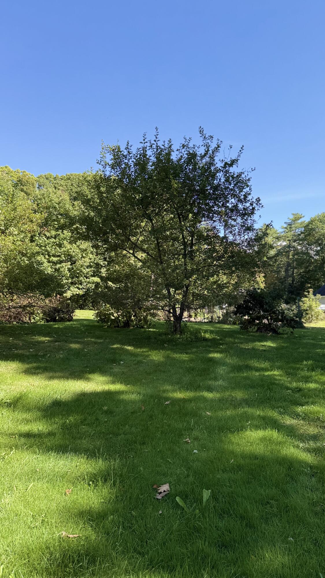 249 School Road Charleston ME 04422