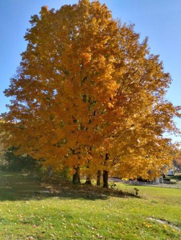 39 Lake View Drive Smithfield ME 04978