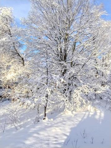 39 Lake View Drive Smithfield ME 04978