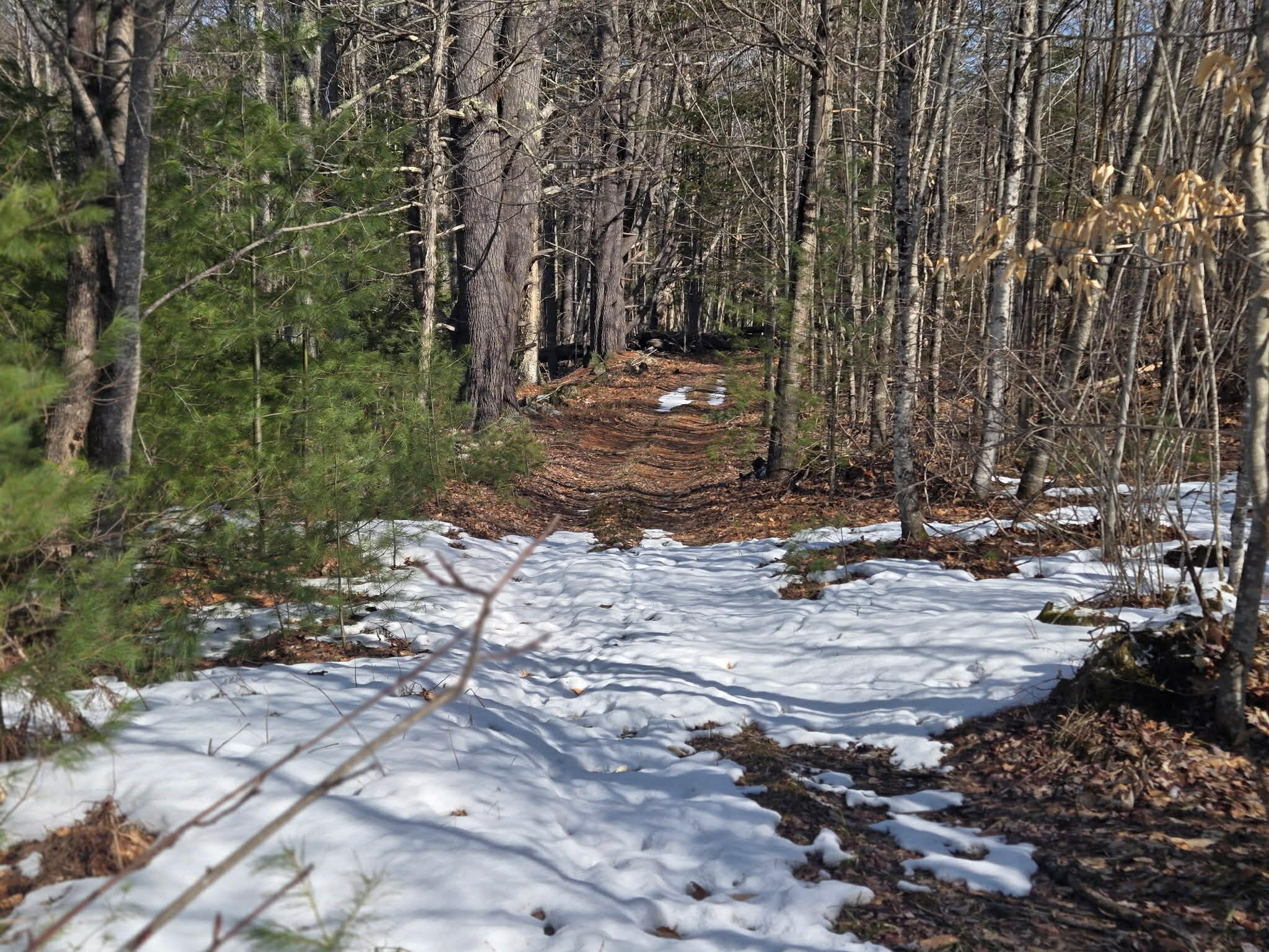 316 Pond Road Wayne ME 04284