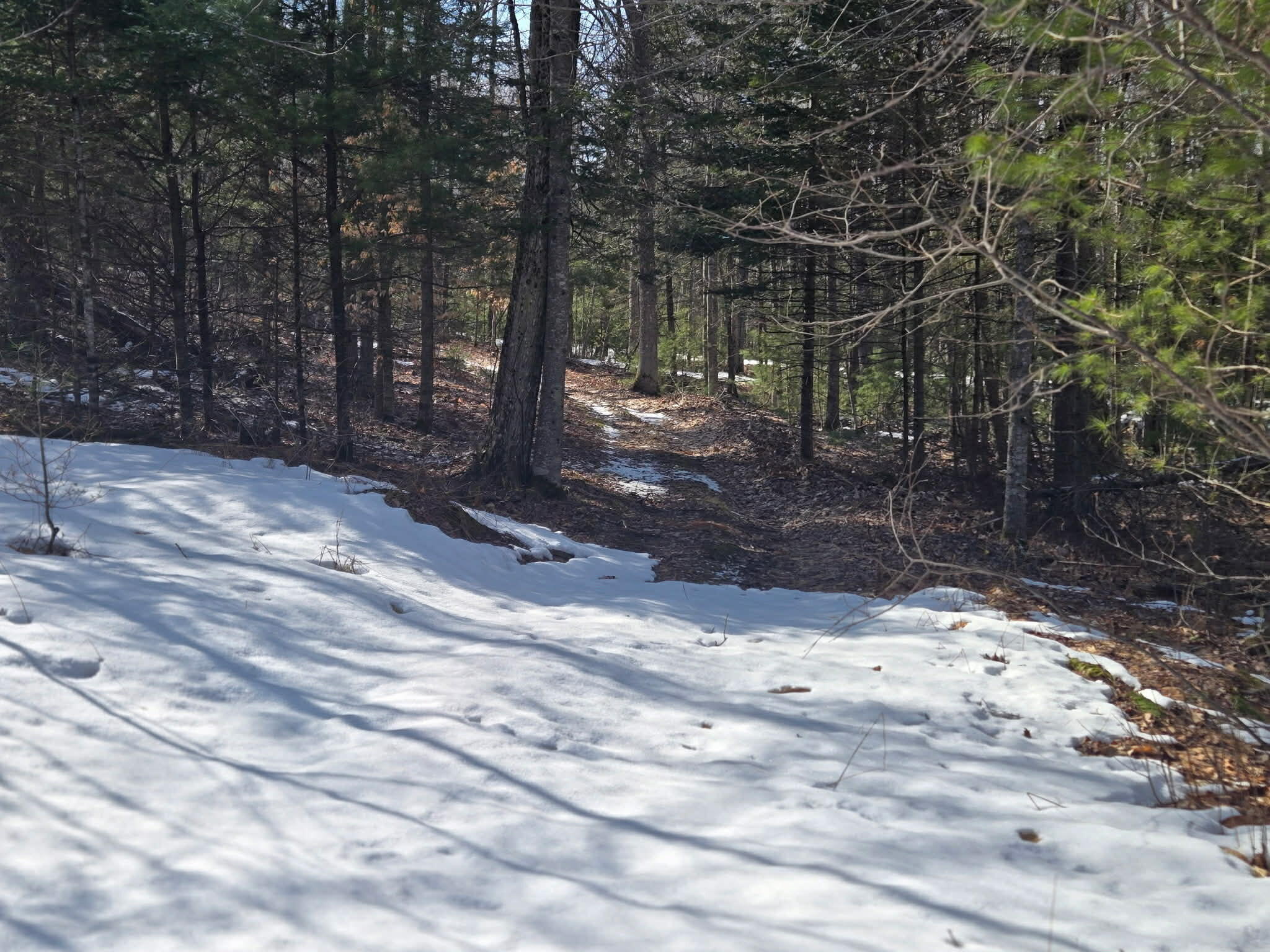316 Pond Road Wayne ME 04284