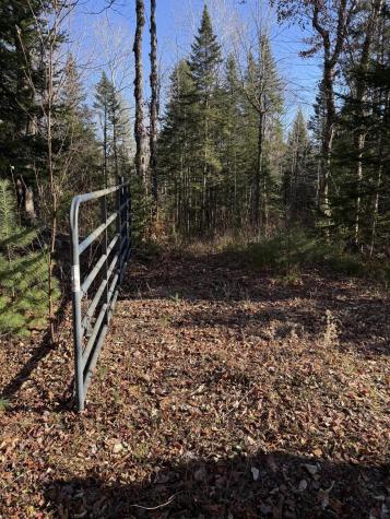 00 Bellfield Road Haynesville ME 04497