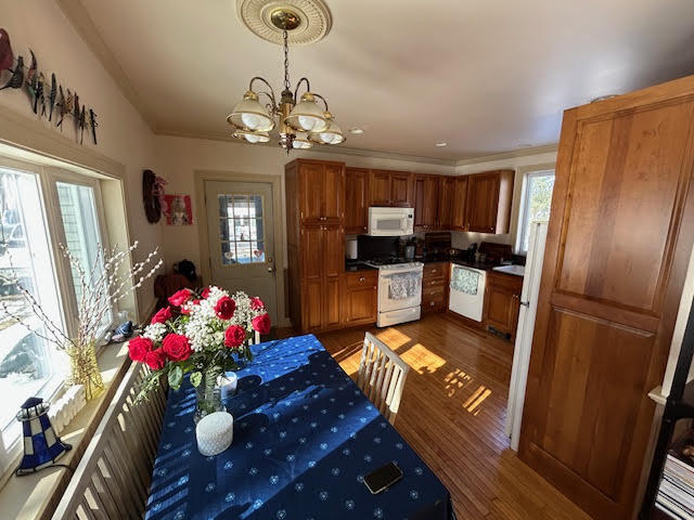 41 Grove Street Belfast ME 04915