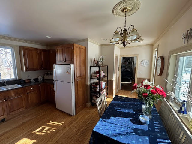 41 Grove Street Belfast ME 04915