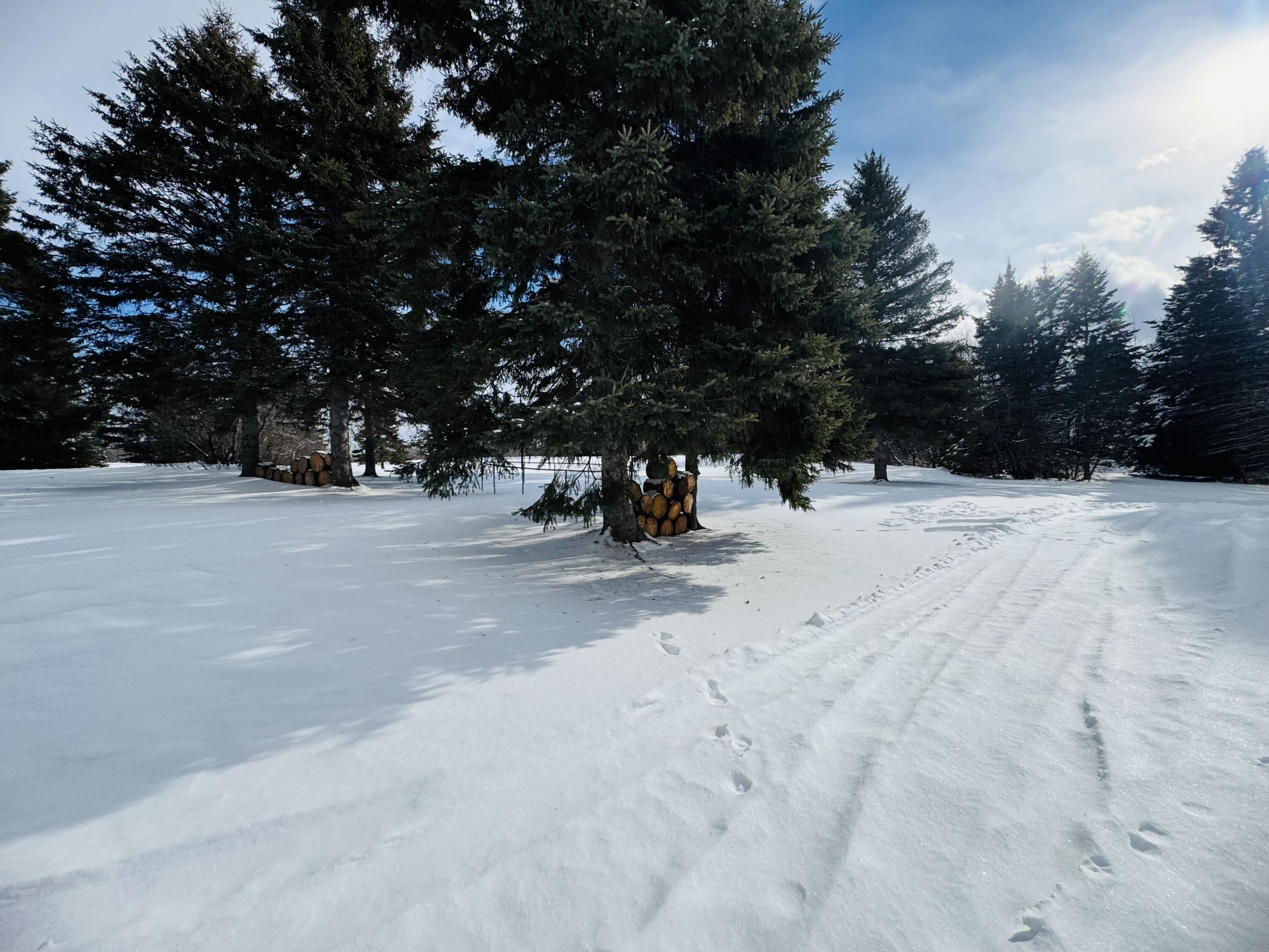 49 Spruce Ridge Road Caribou ME 04736