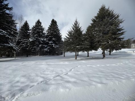 49 Spruce Ridge Road Caribou ME 04736