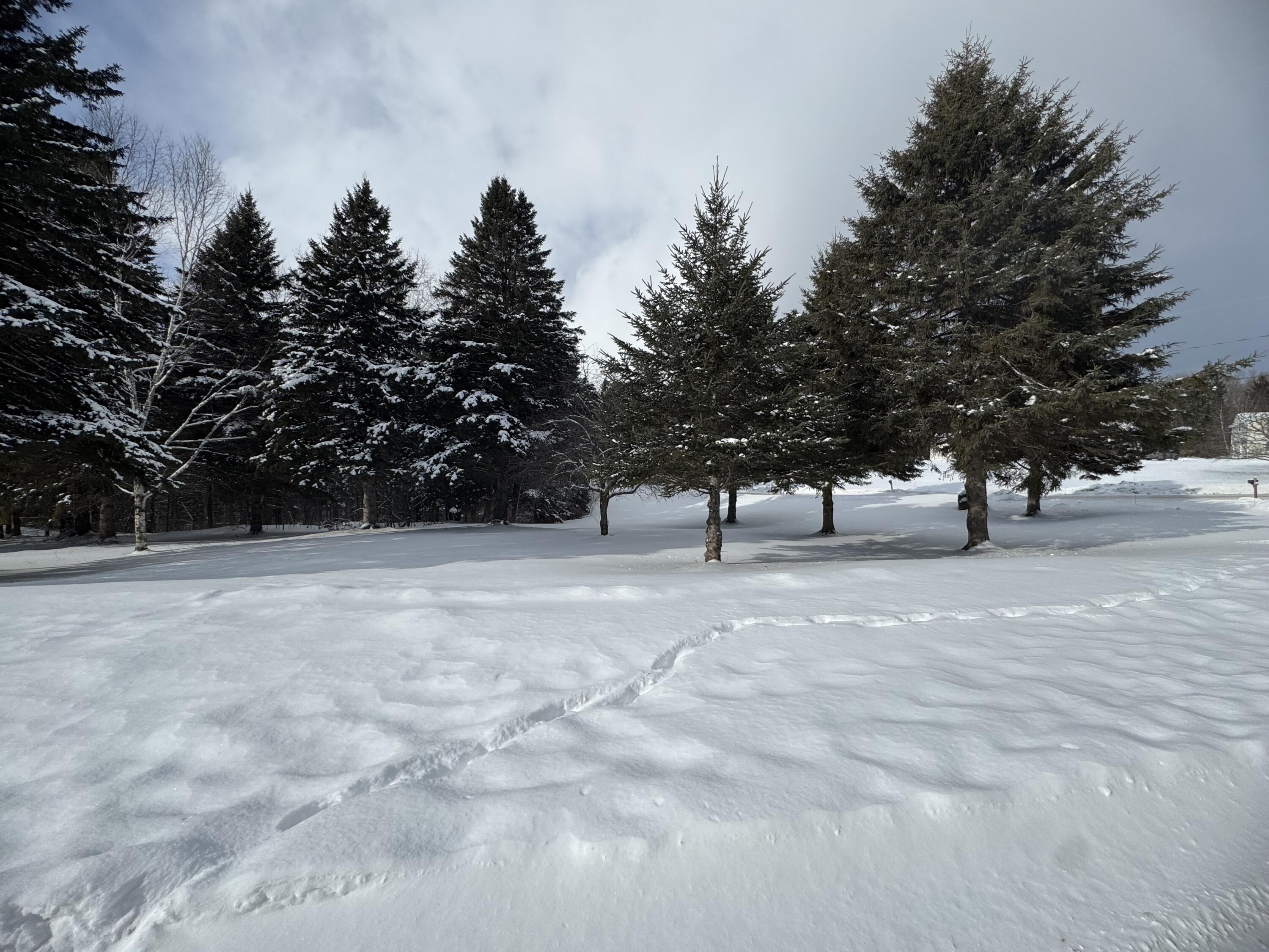 49 Spruce Ridge Road Caribou ME 04736