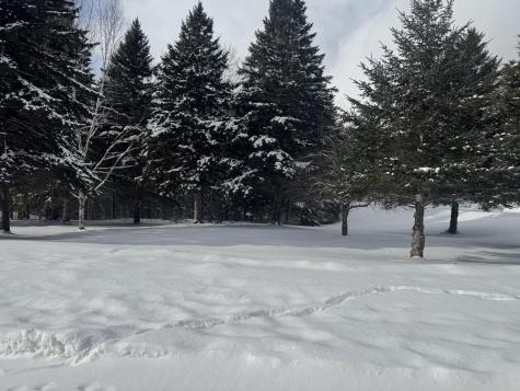 49 Spruce Ridge Road Caribou ME 04736