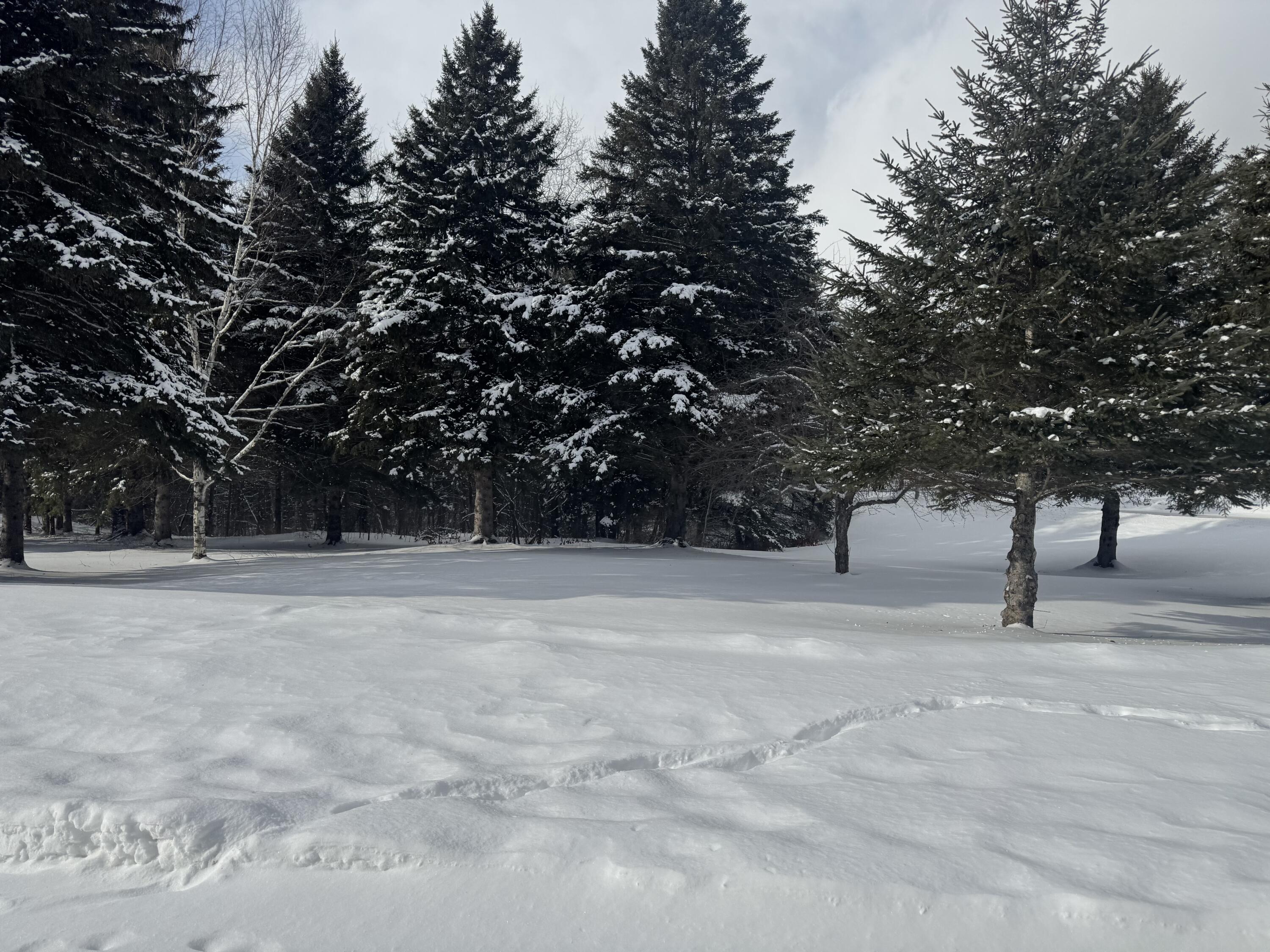 49 Spruce Ridge Road Caribou ME 04736