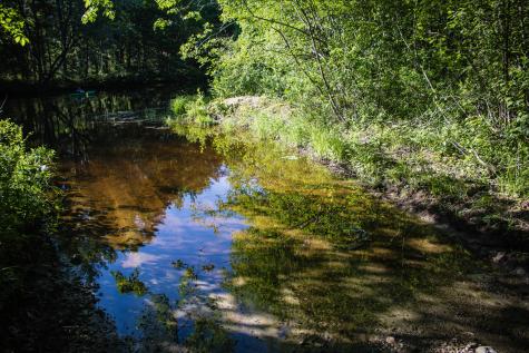 200 State Park Road Casco ME 04015