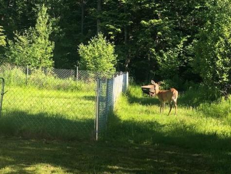 200 State Park Road Casco ME 04015