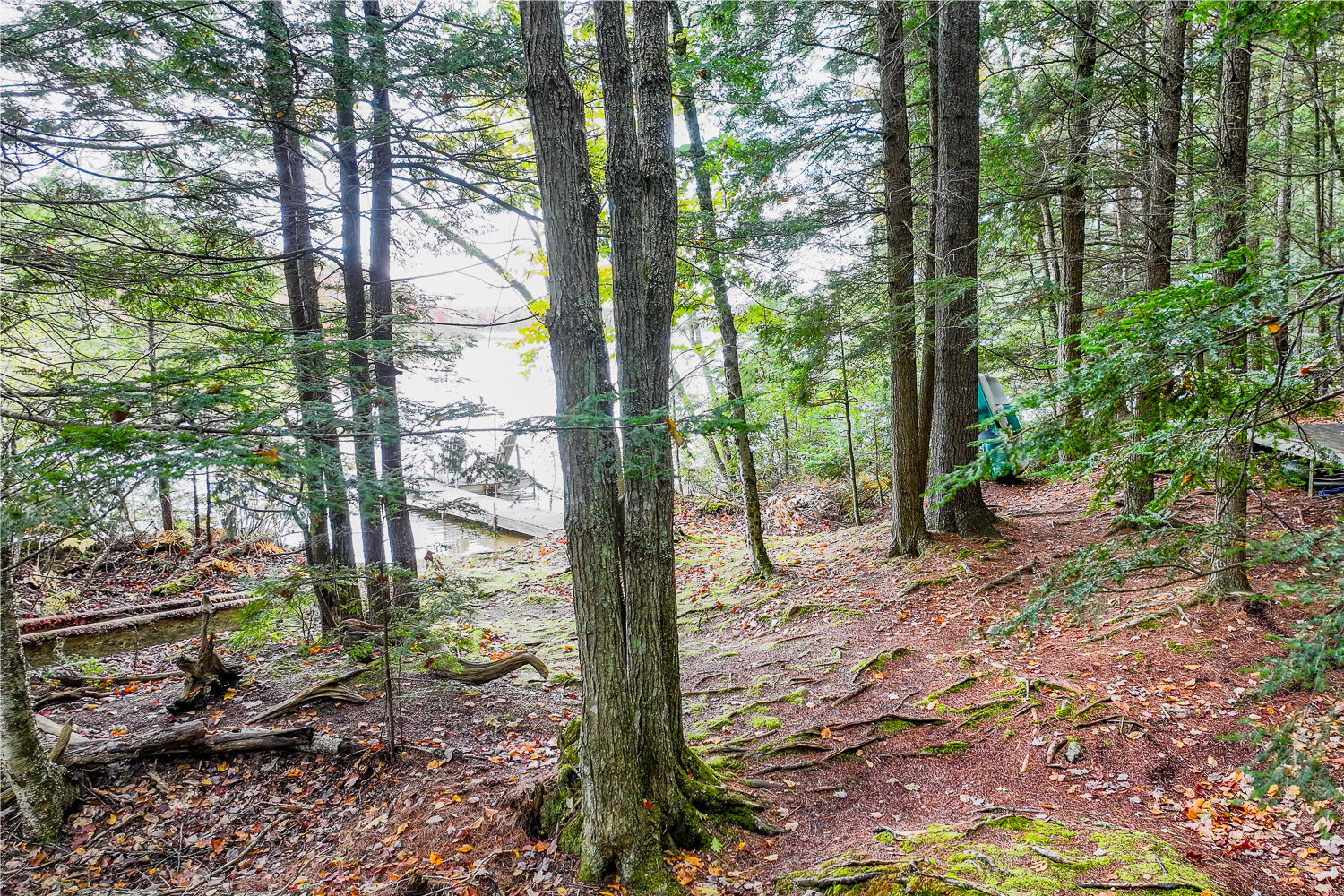 44 Ledges Lane Freedom ME 04941