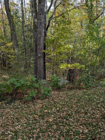 197 Ferry Road Lewiston ME 04240