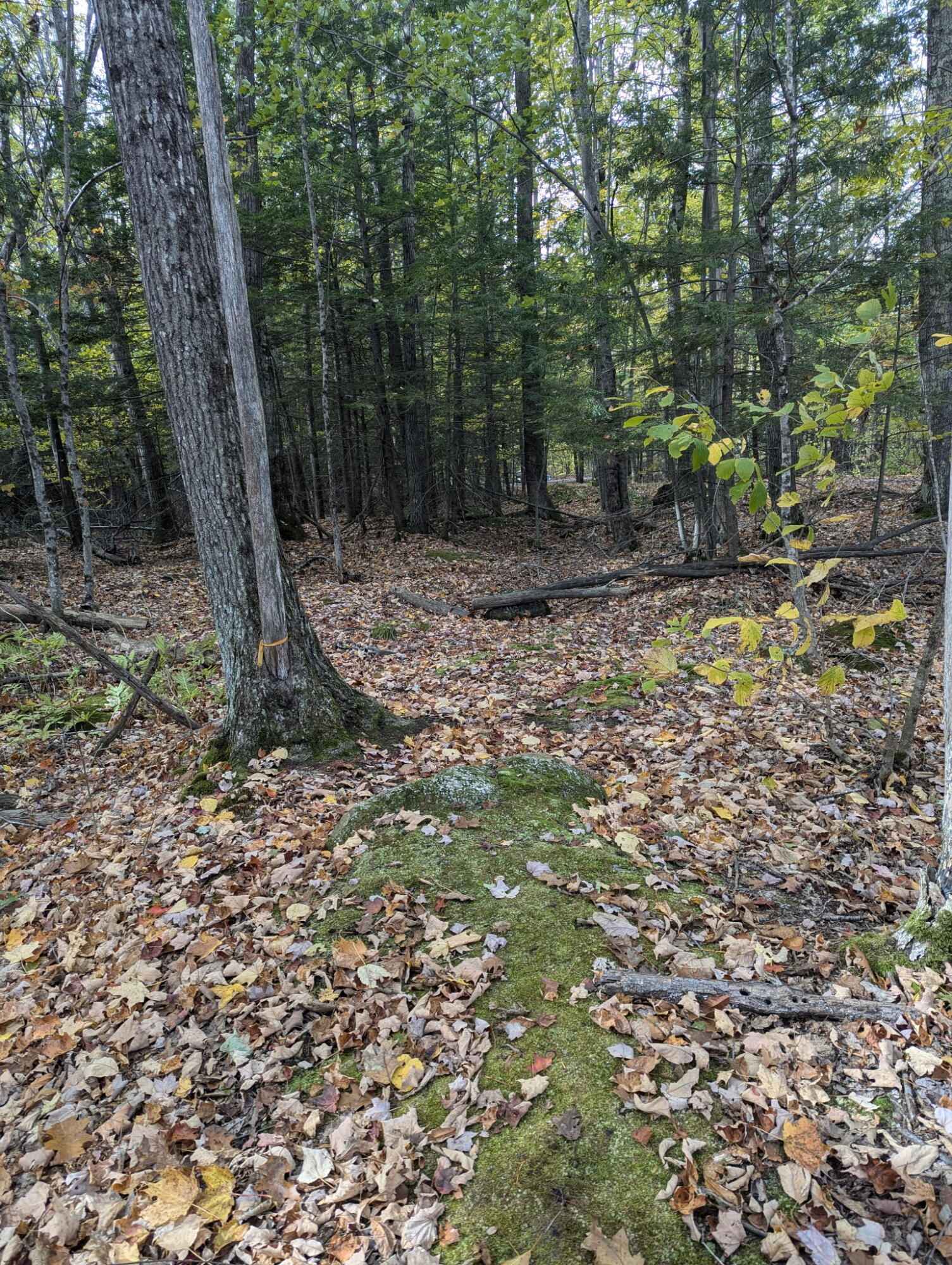 197 Ferry Road Lewiston ME 04240