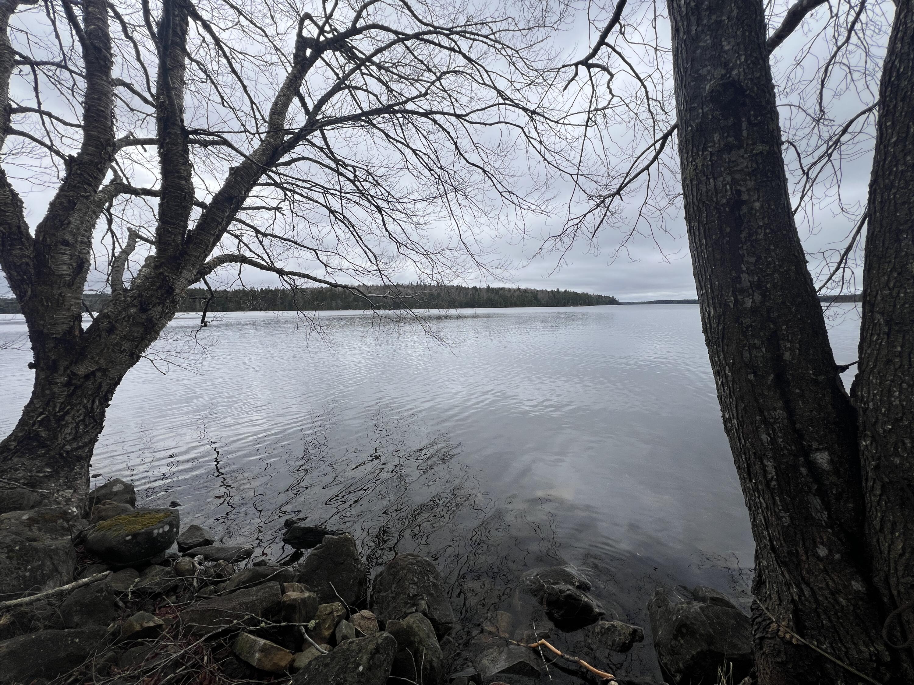 208 Camp Road Cooper ME 04657