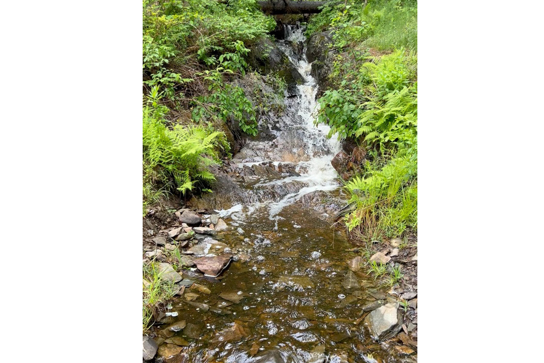 286 Atlantic Highway Northport ME 04849