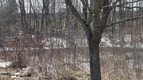 508 Horseback Road Clinton ME 04927