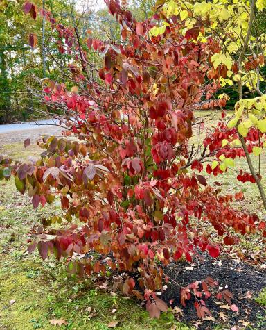 74 Union Street Ellsworth ME 04605