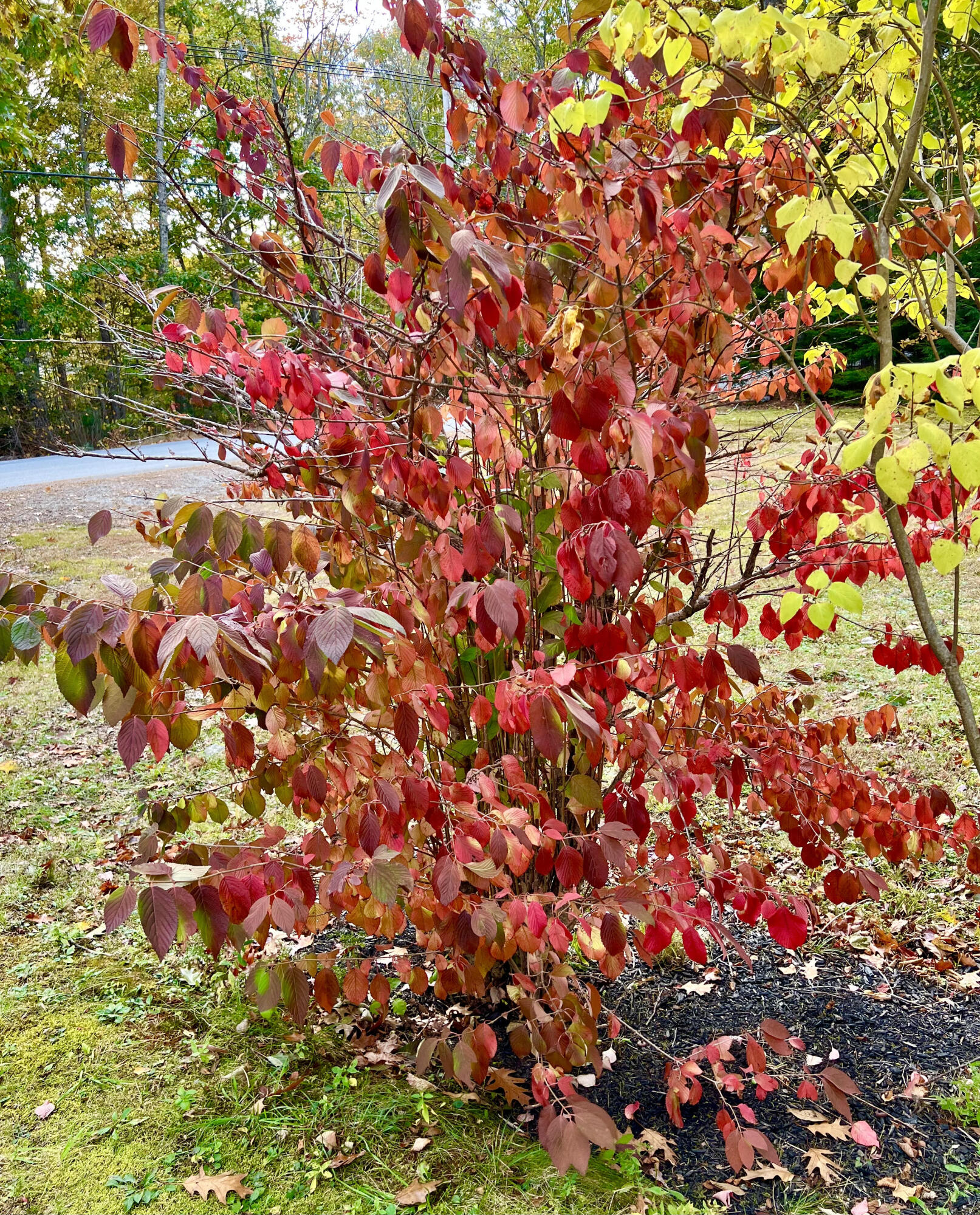 74 Union Street Ellsworth ME 04605