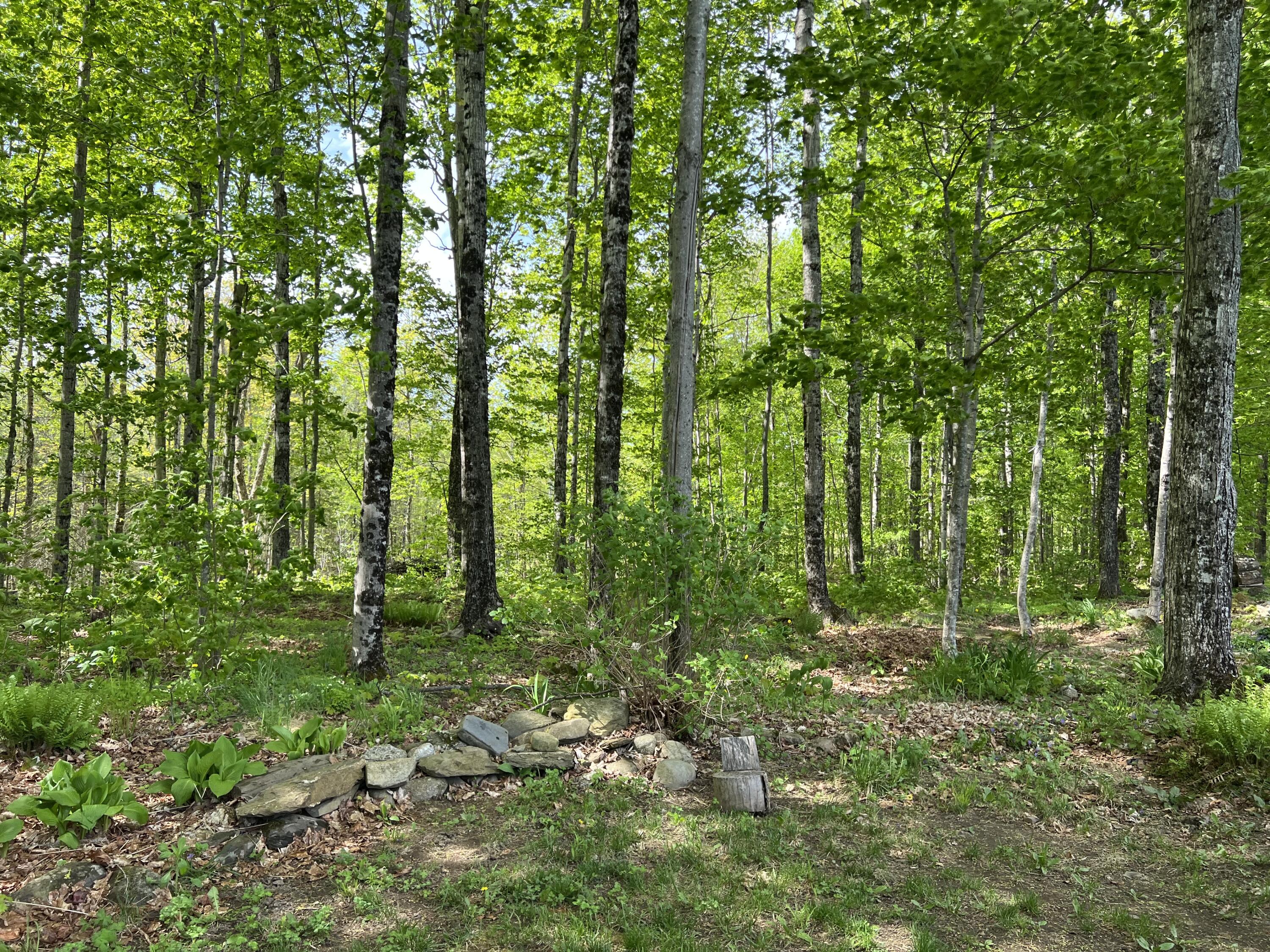 142 Palmer Road Thorndike ME 04986