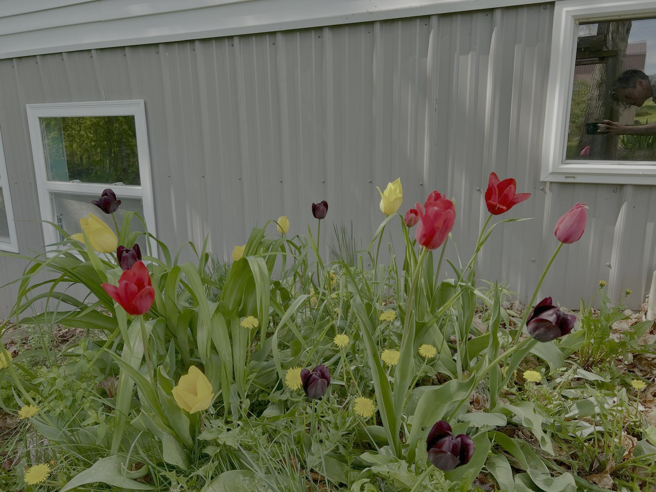 142 Palmer Road Thorndike ME 04986