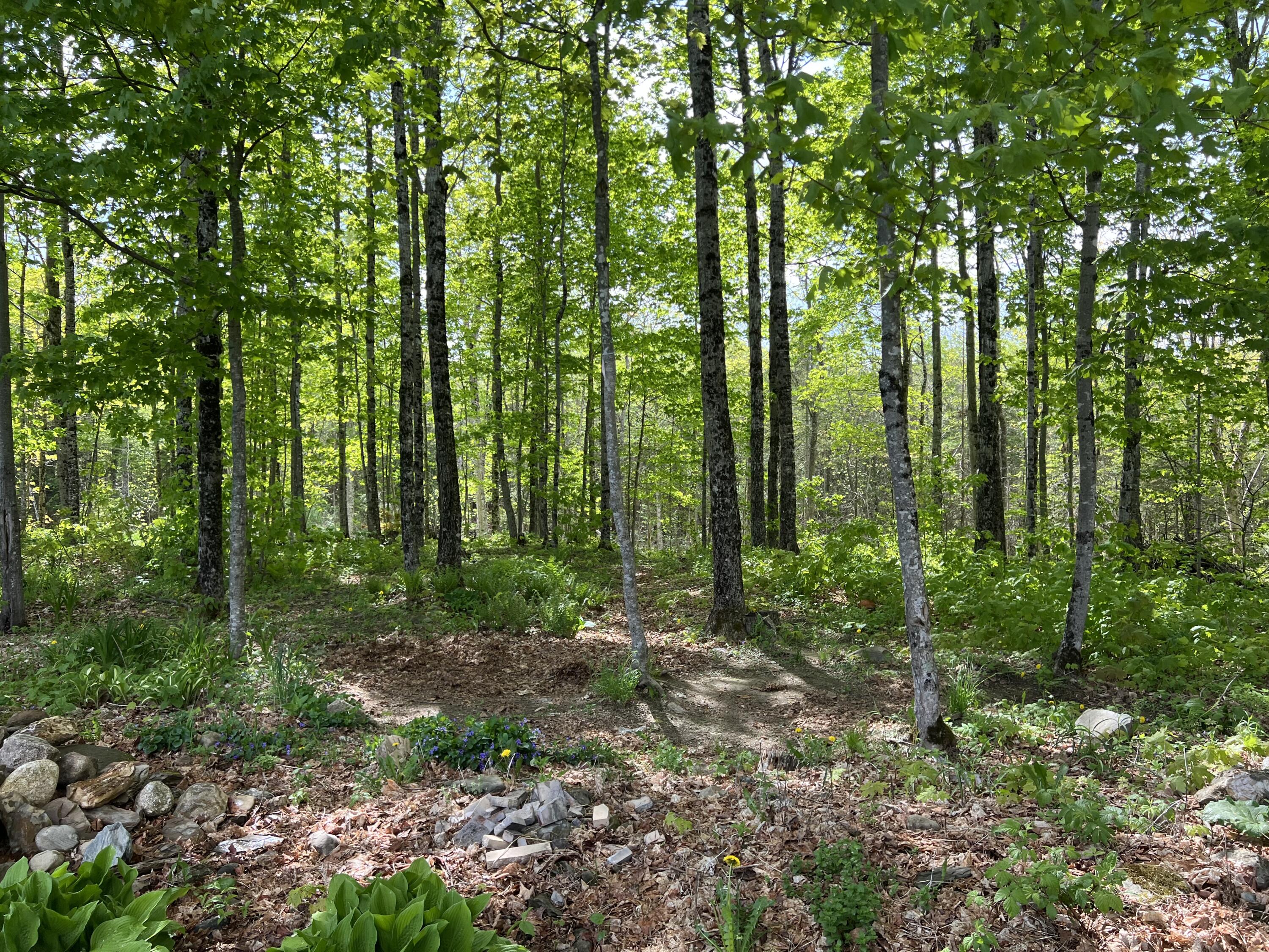 142 Palmer Road Thorndike ME 04986