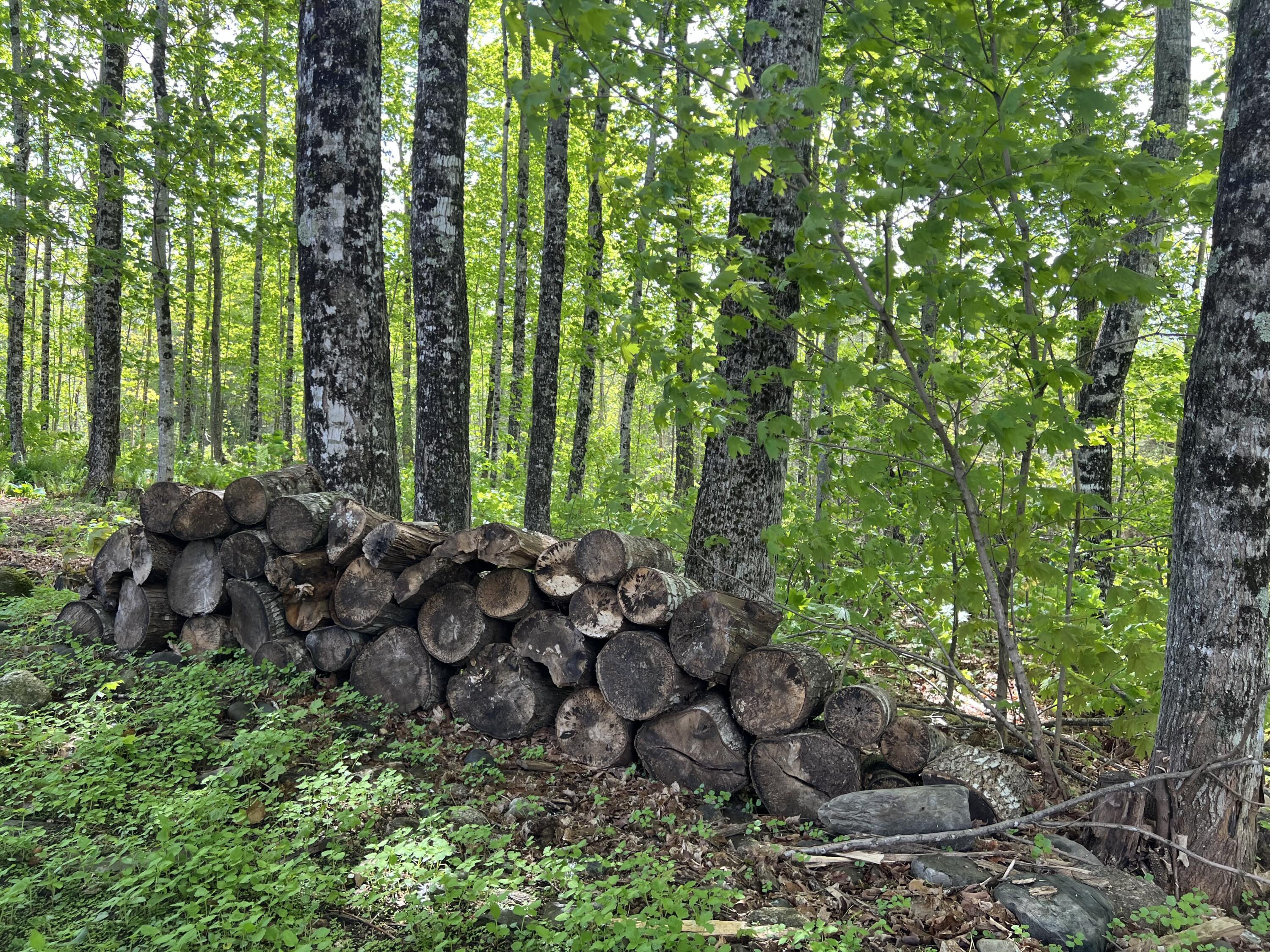142 Palmer Road Thorndike ME 04986