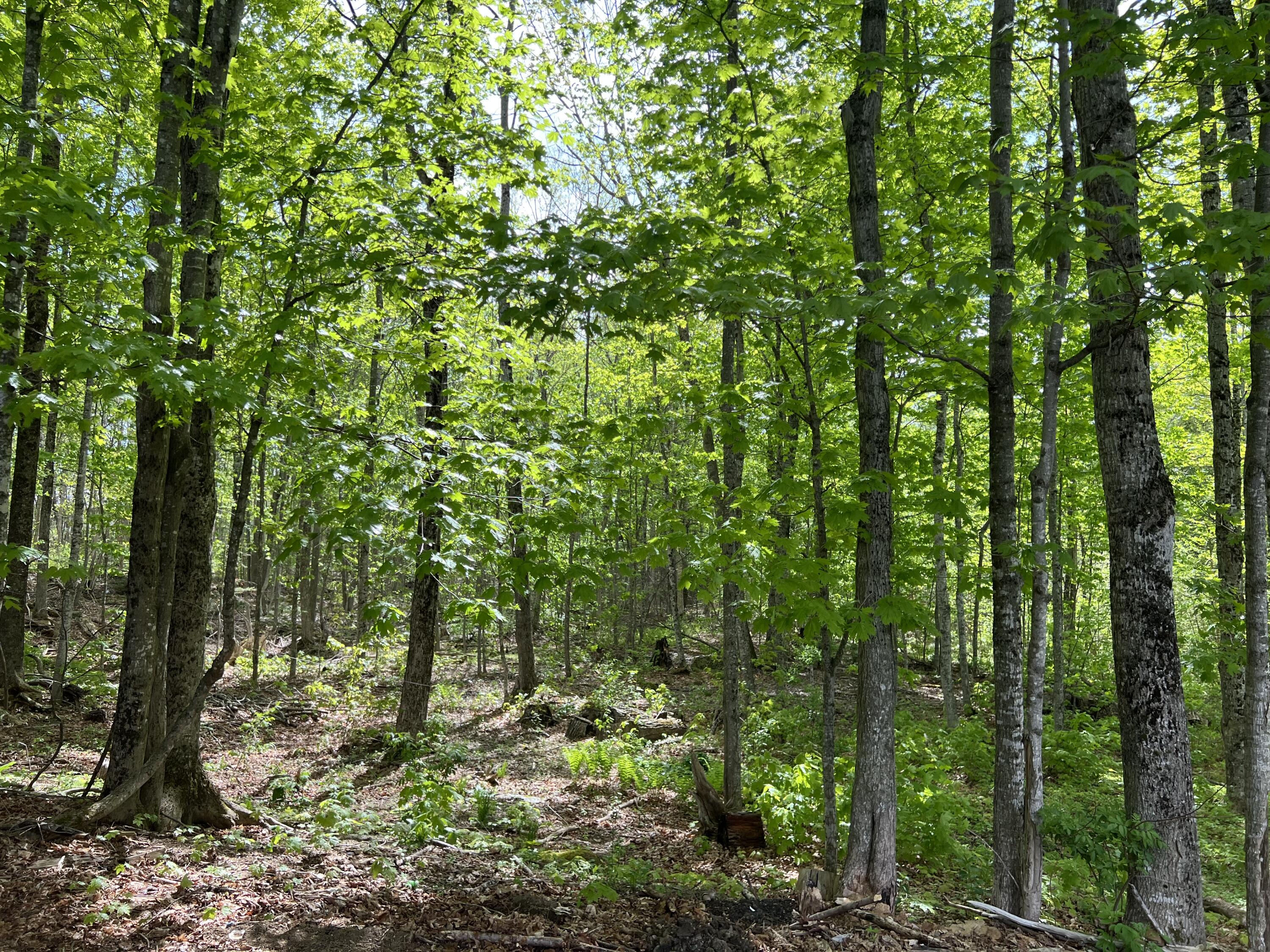 142 Palmer Road Thorndike ME 04986