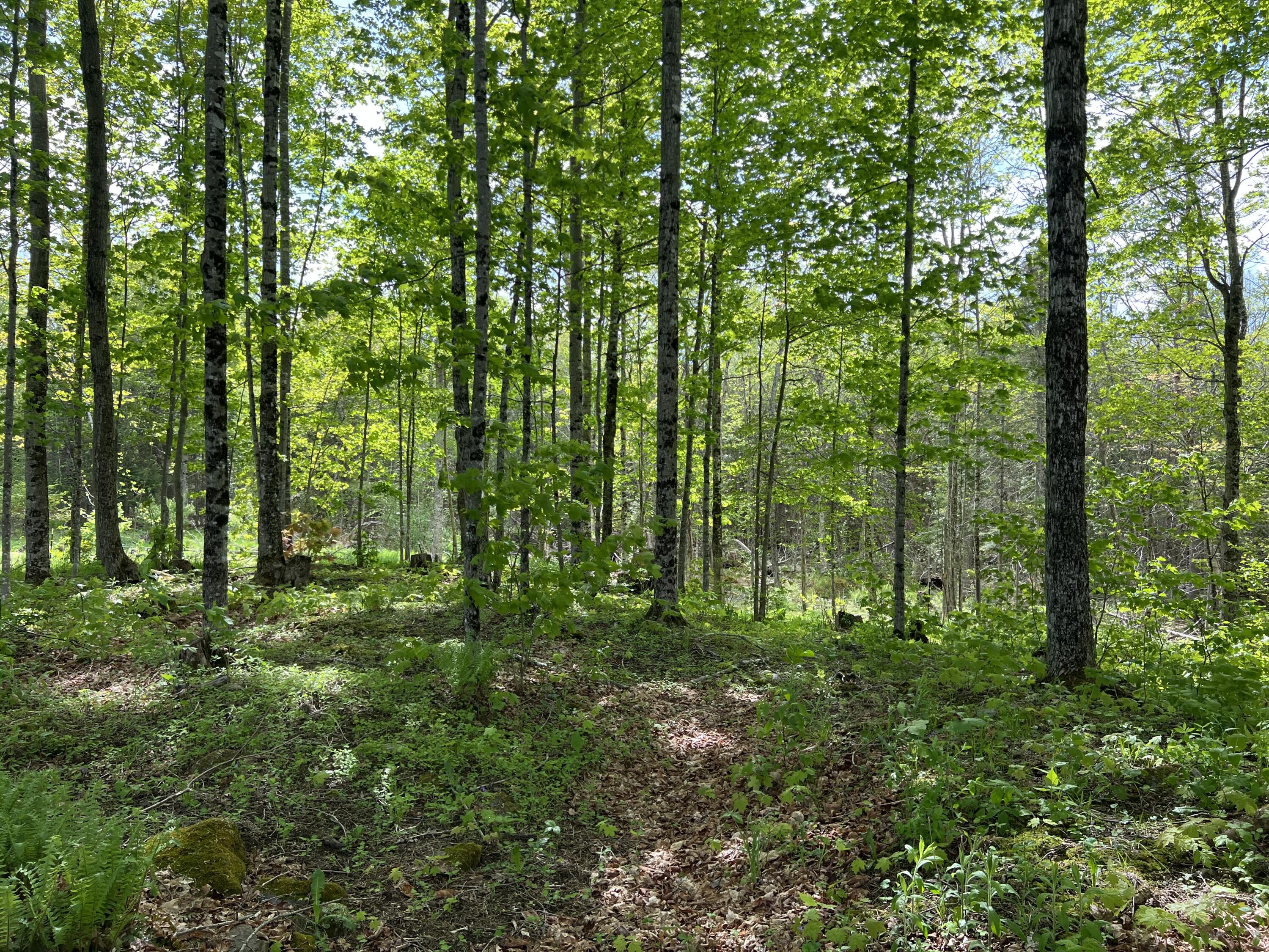 142 Palmer Road Thorndike ME 04986