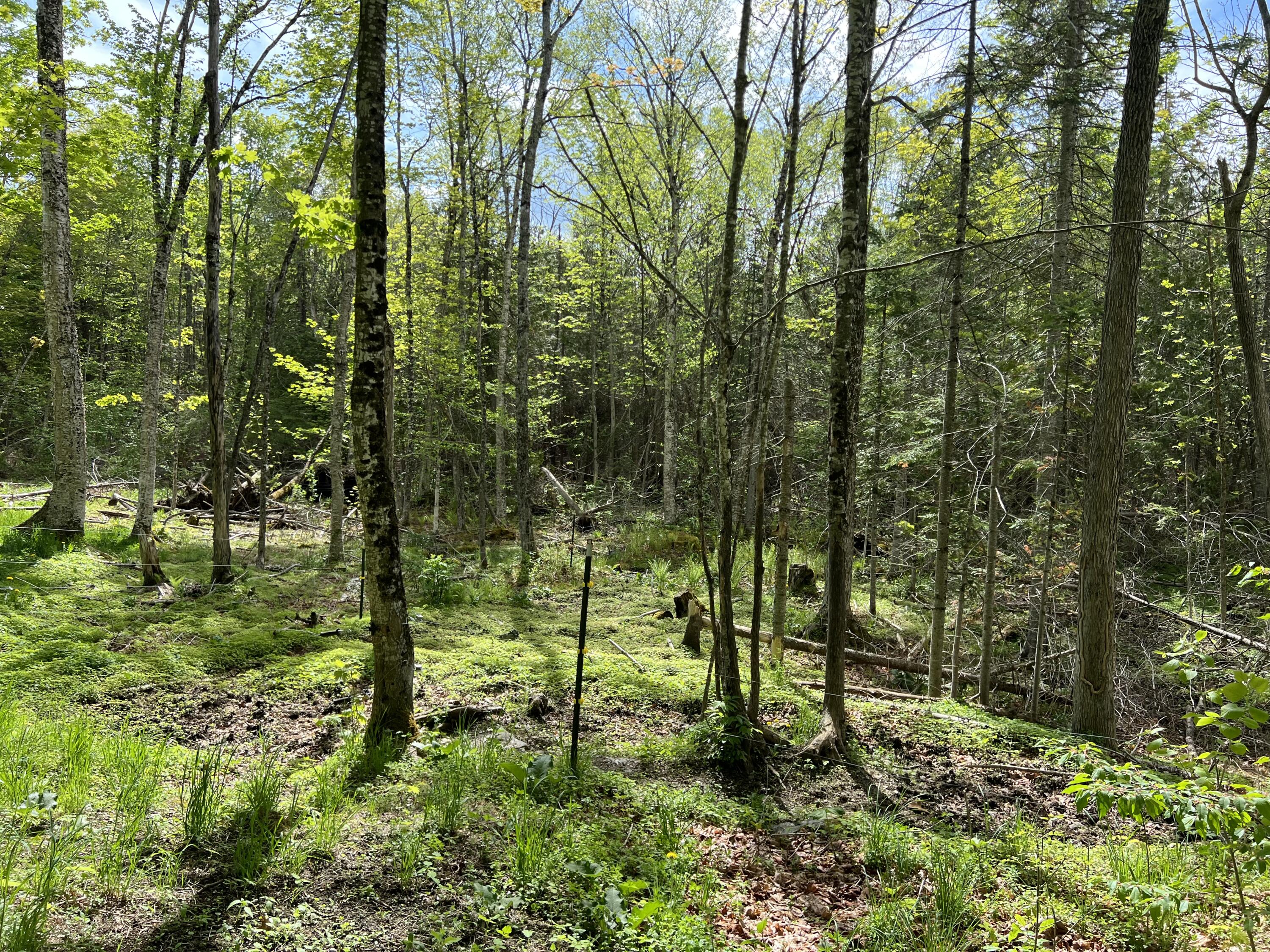 142 Palmer Road Thorndike ME 04986
