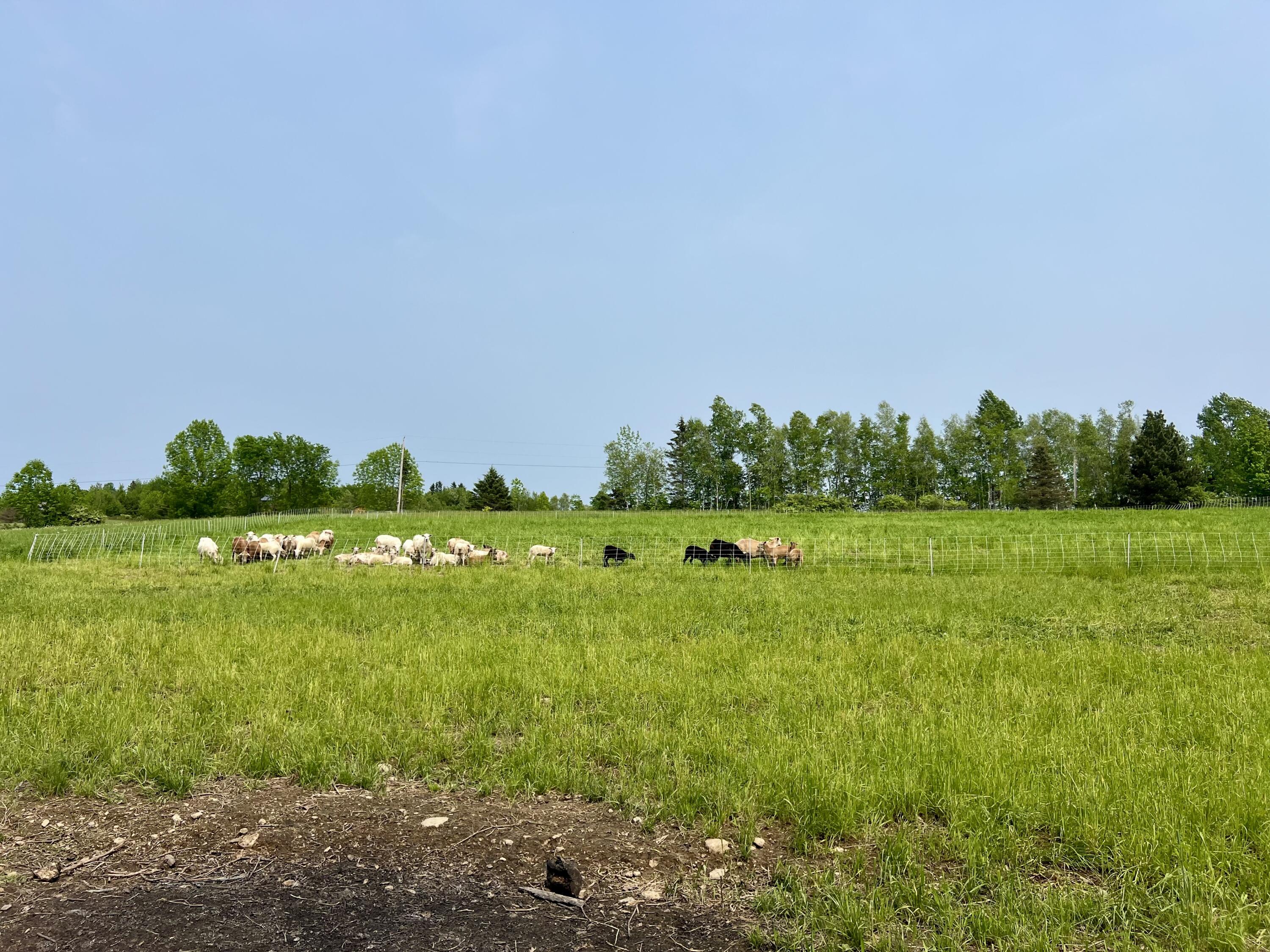 142 Palmer Road Thorndike ME 04986