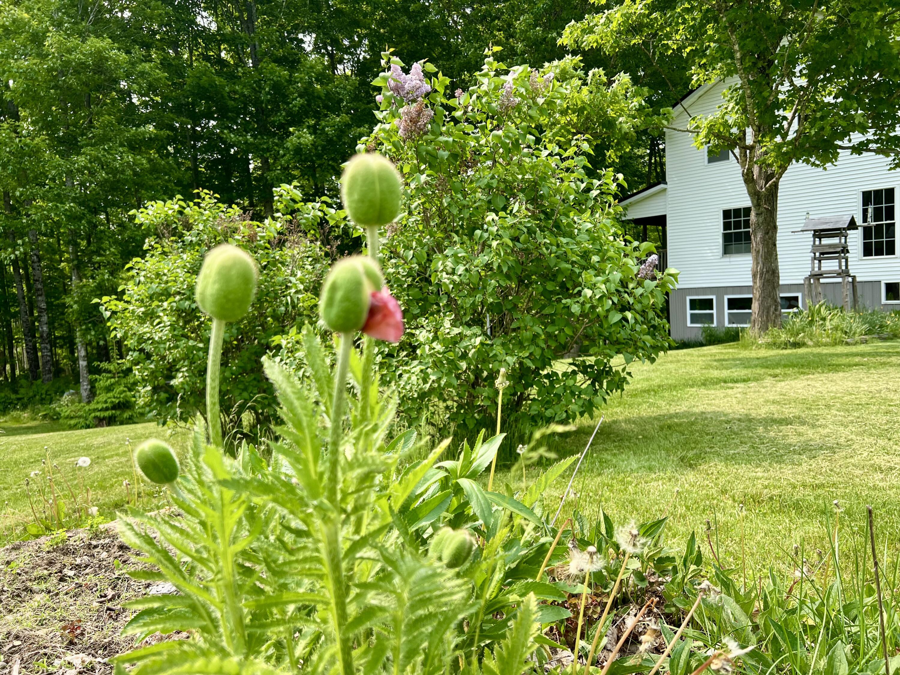 142 Palmer Road Thorndike ME 04986