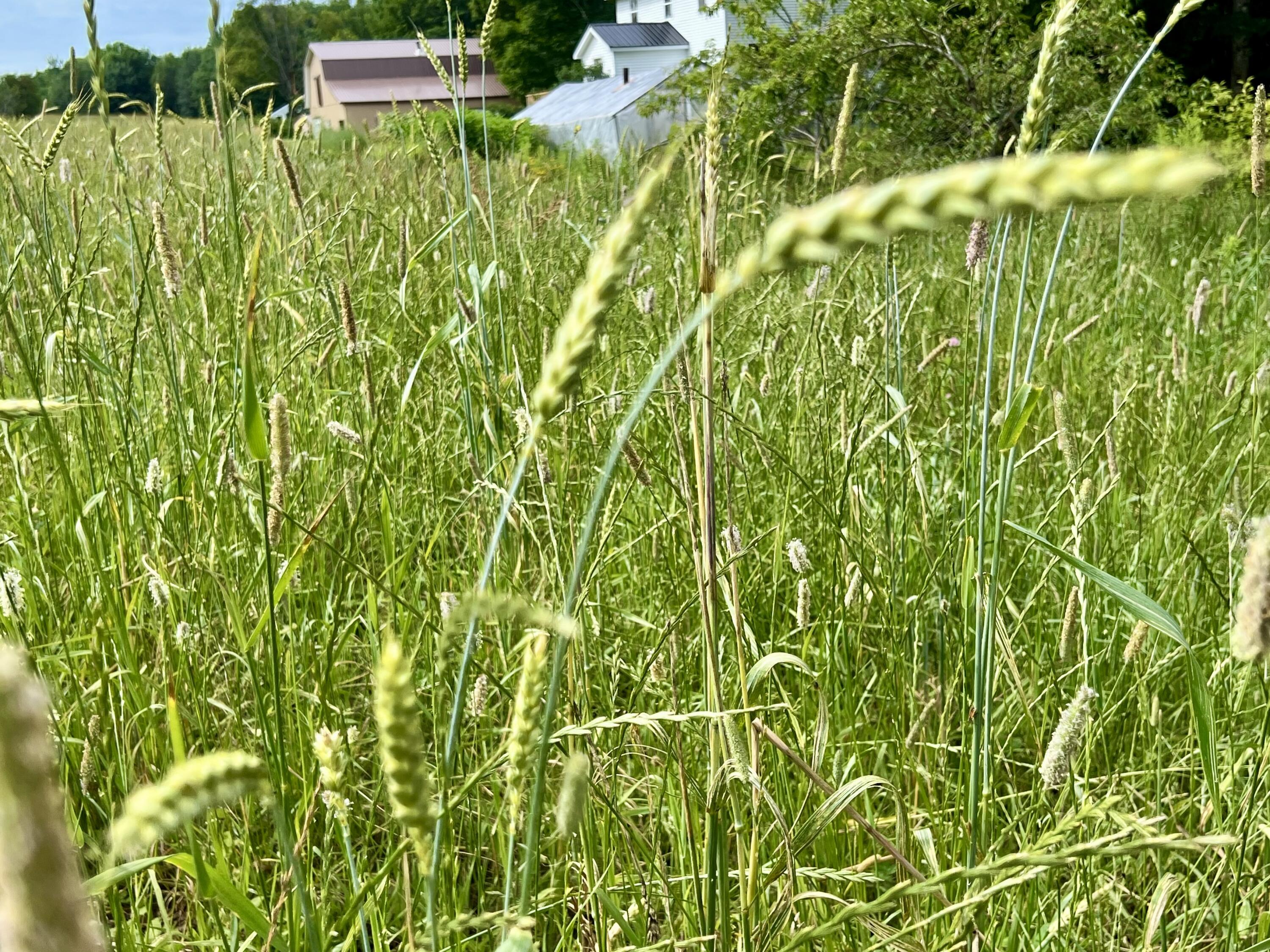 142 Palmer Road Thorndike ME 04986
