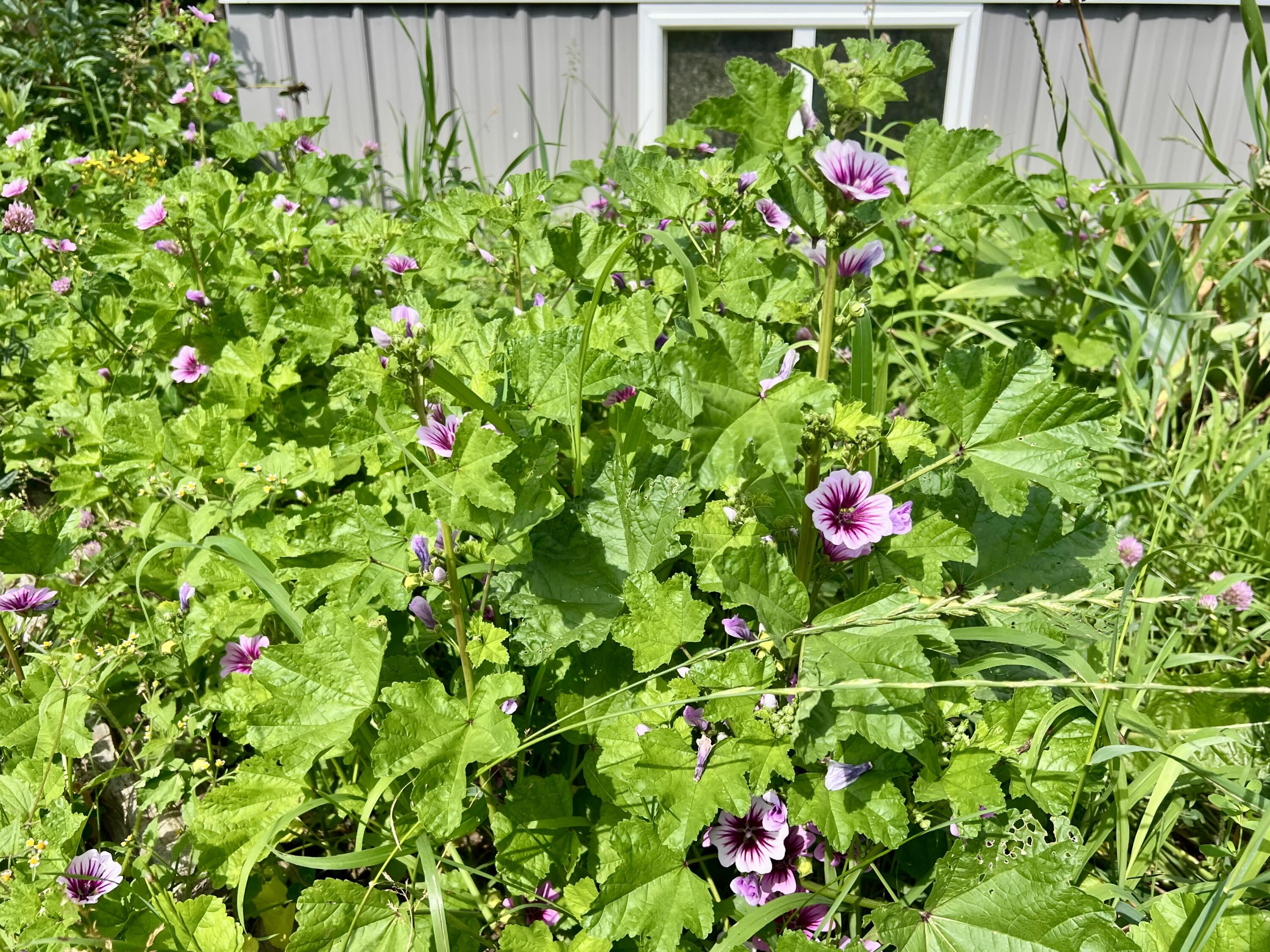 142 Palmer Road Thorndike ME 04986