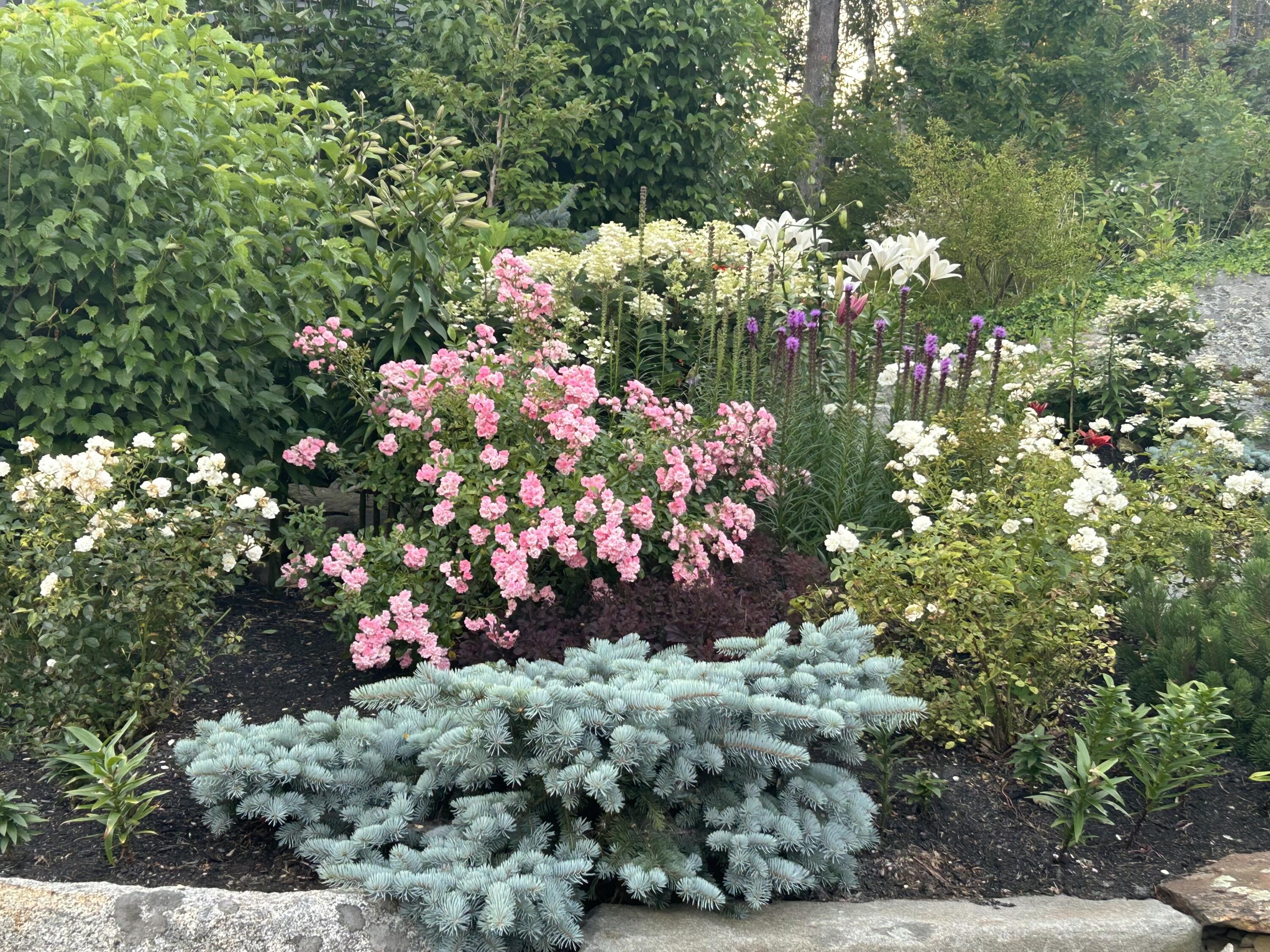 5 Little Dog Path South Thomaston ME 04858