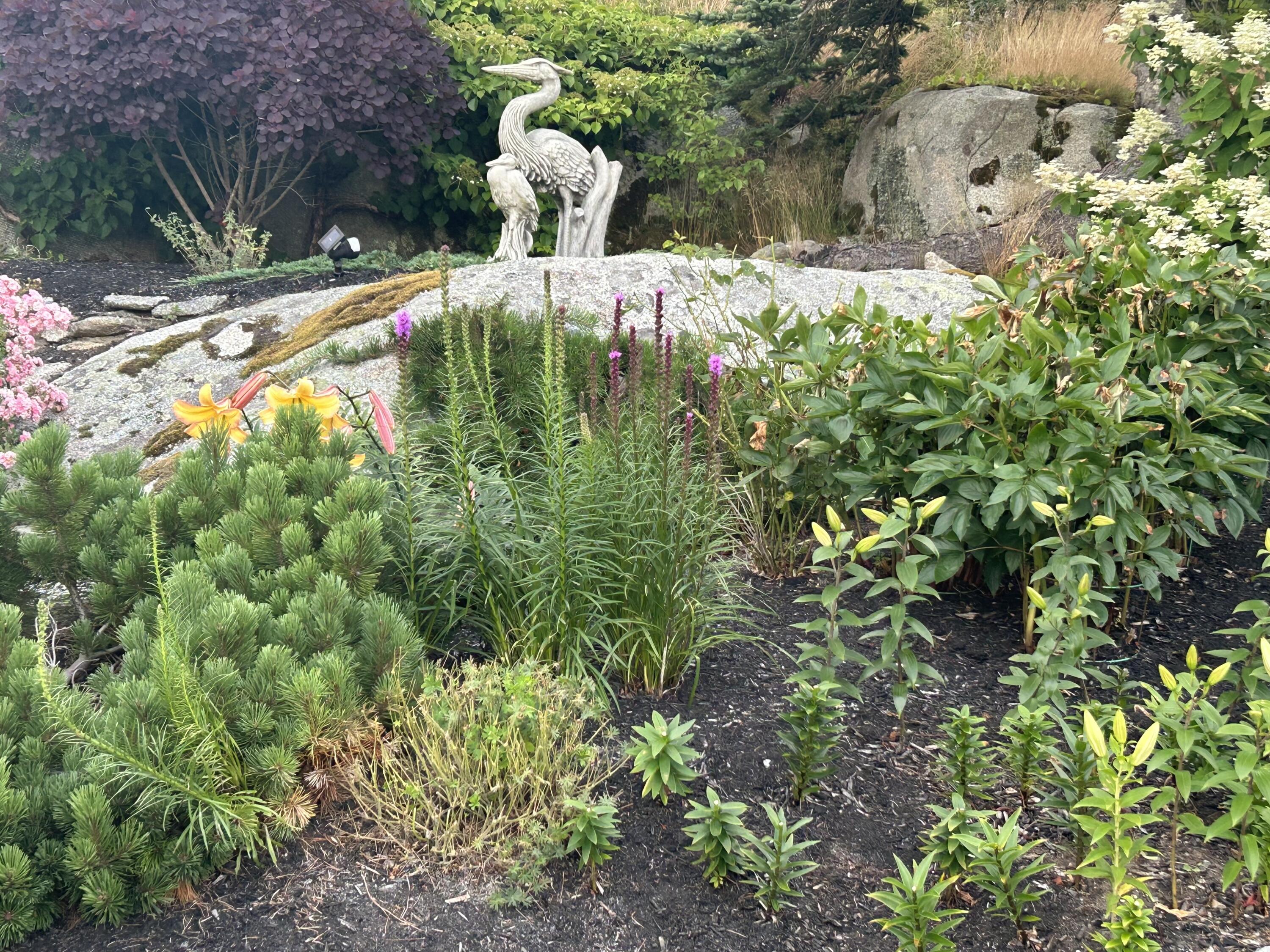 5 Little Dog Path South Thomaston ME 04858