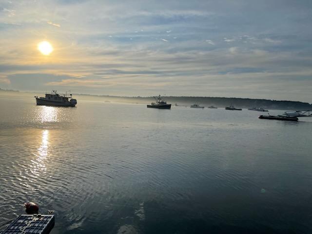 5 Little Dog Path South Thomaston ME 04858