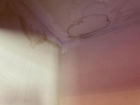 1228 Eastern Avenue Chelsea ME 04330