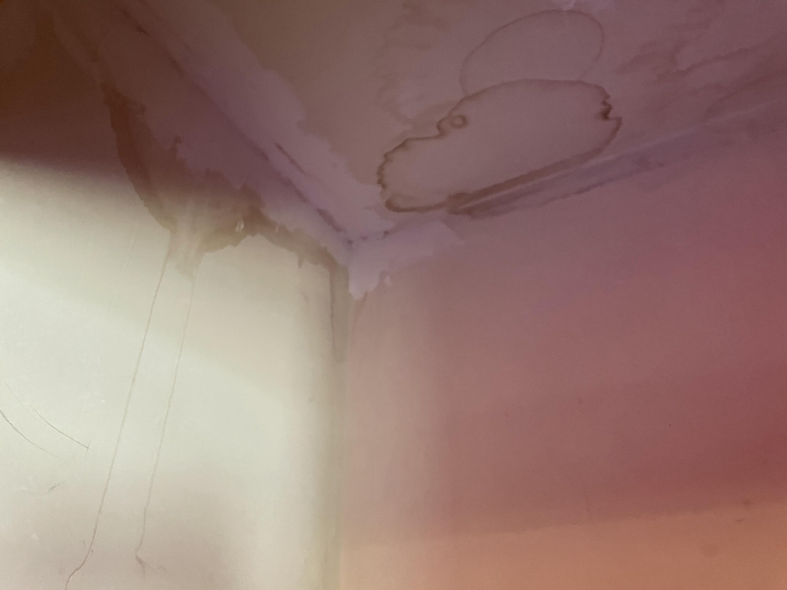 1228 Eastern Avenue Chelsea ME 04330