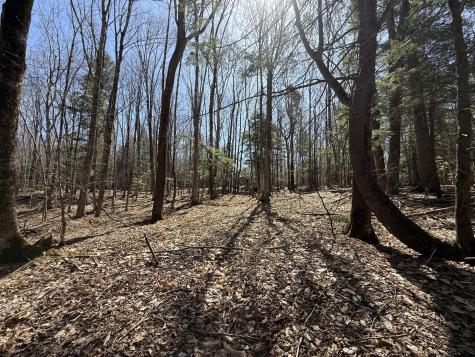 21 Curtis Road Freeport ME 04032