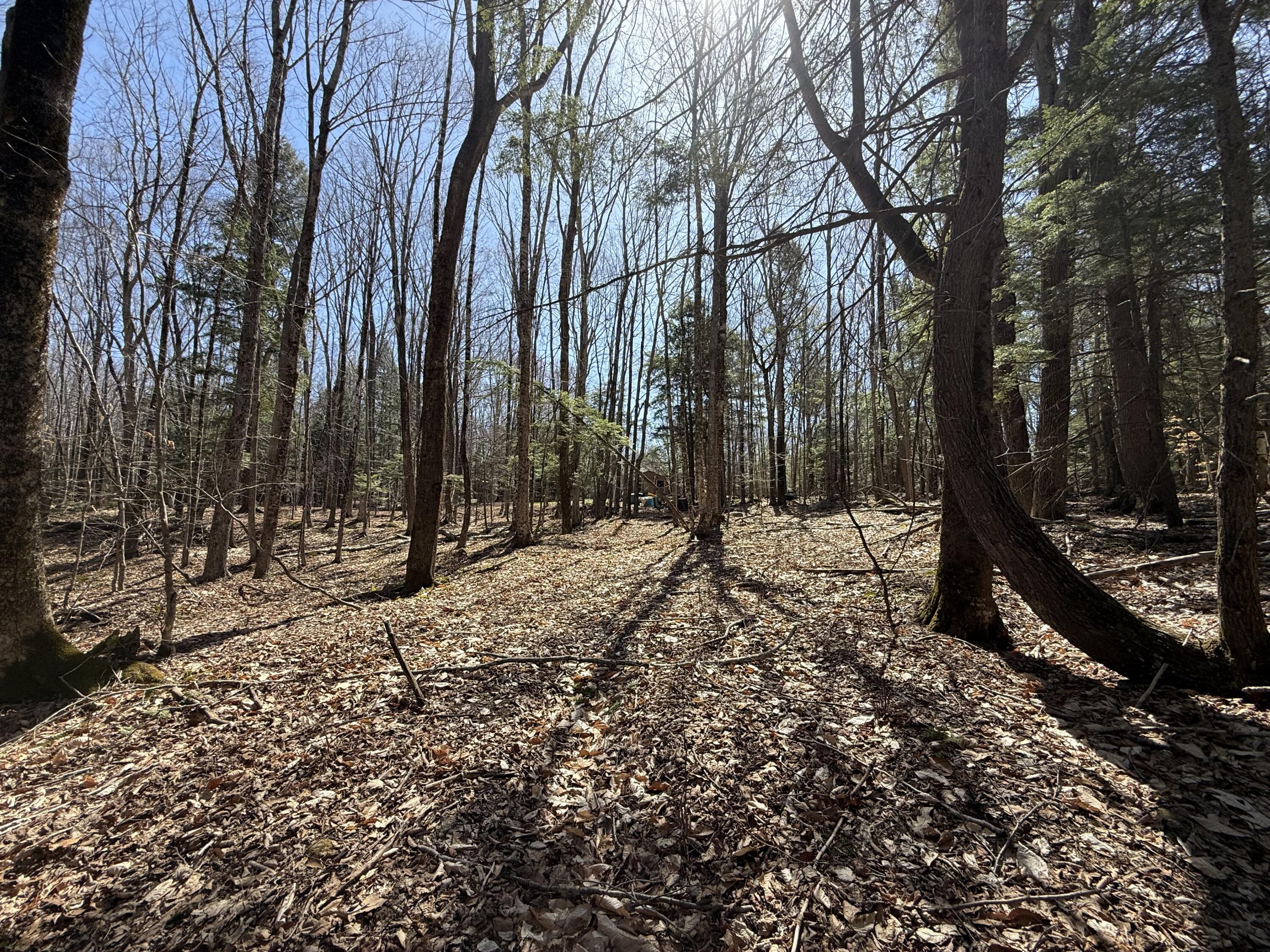 21 Curtis Road Freeport ME 04032